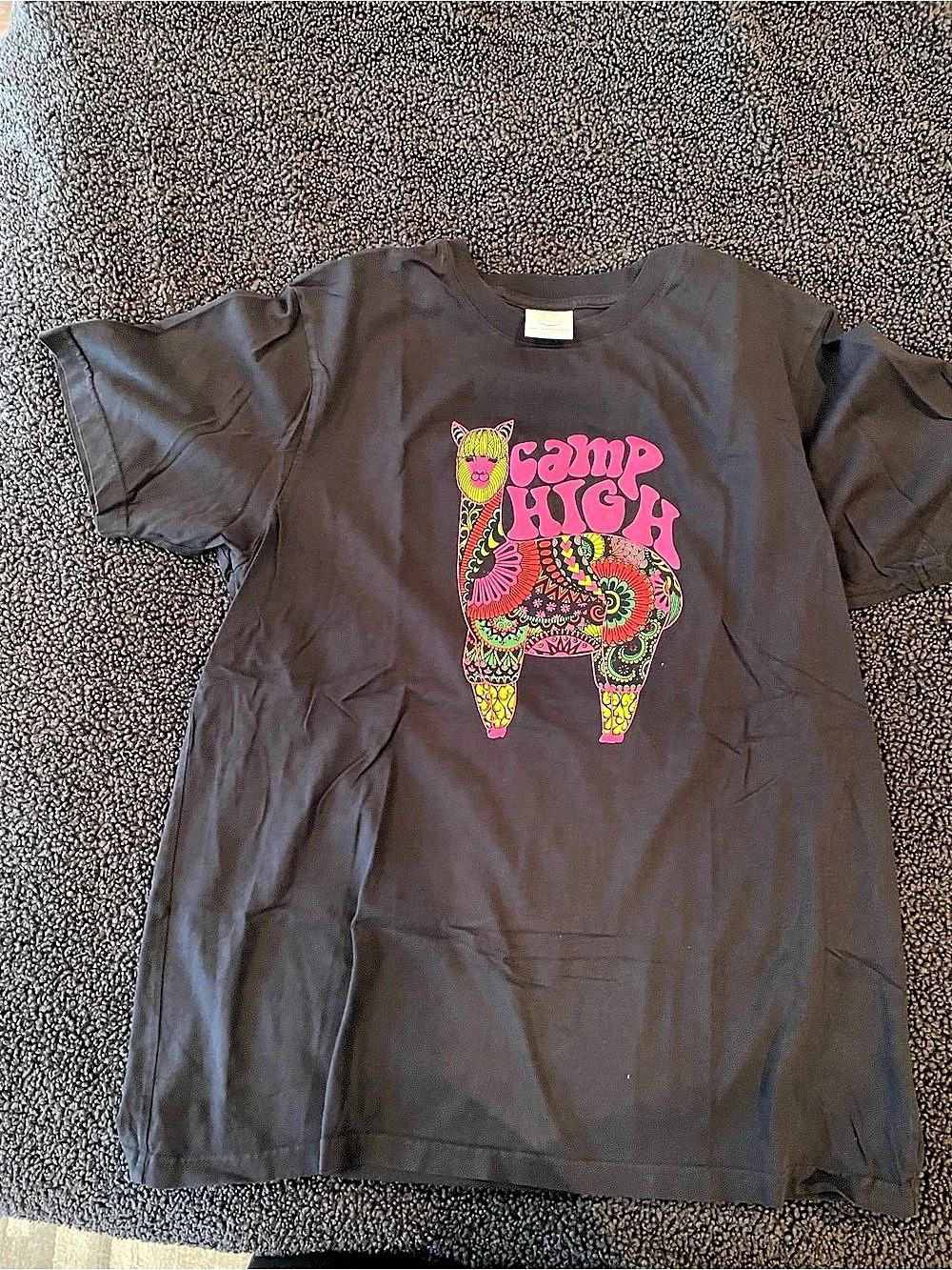 Camp high t-shirt—- never worn!